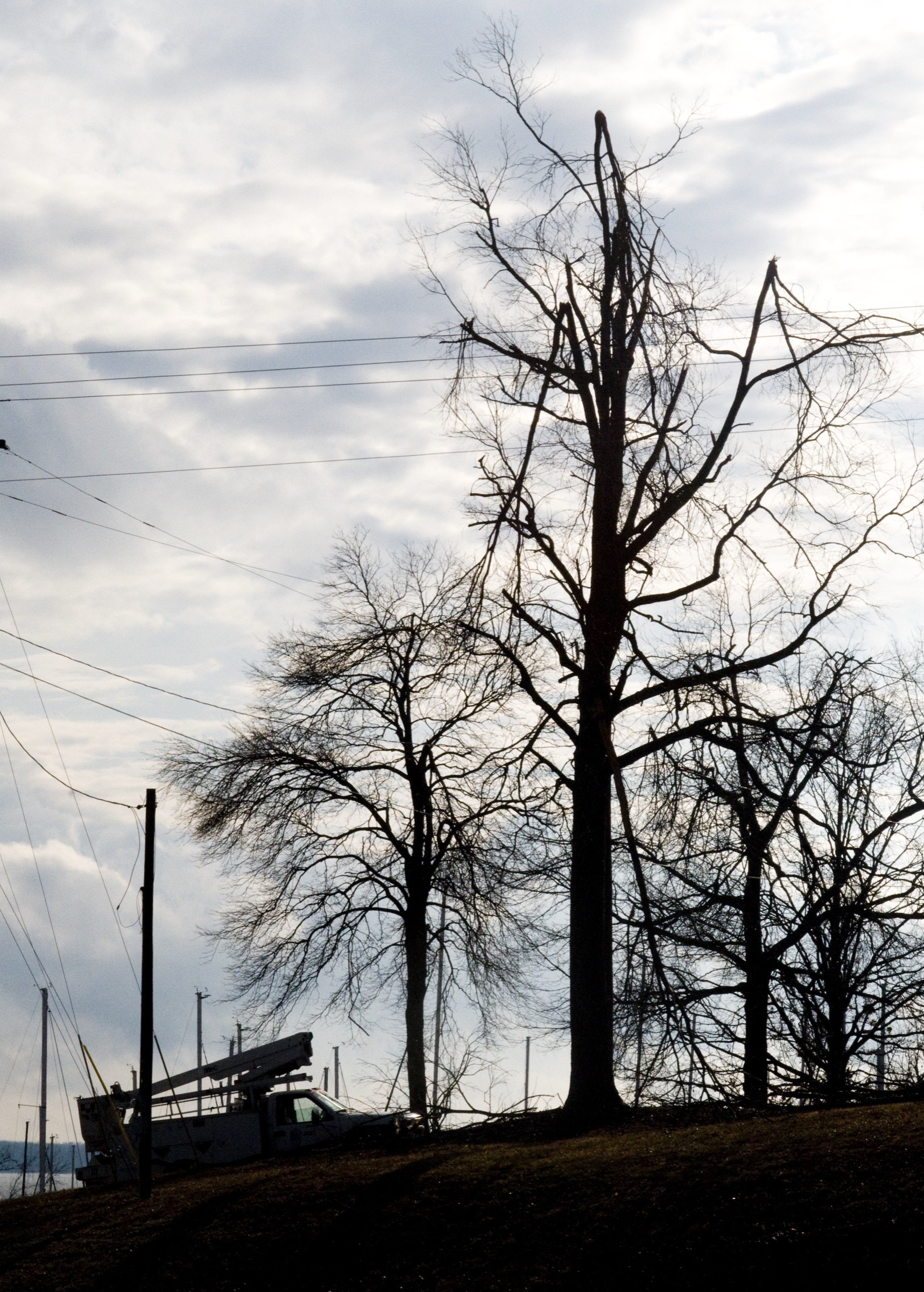 A line crew at work on poles and wires among ice-broken trees